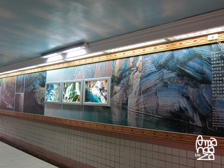 IMG_8495 IMG_8495