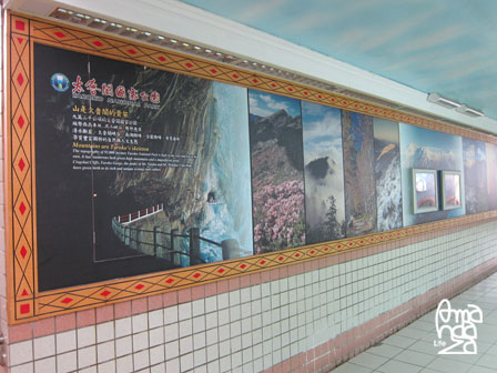 IMG_8496 IMG_8496