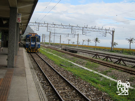IMG_8625 IMG_8625