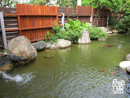 IMG_8684 IMG_8684
