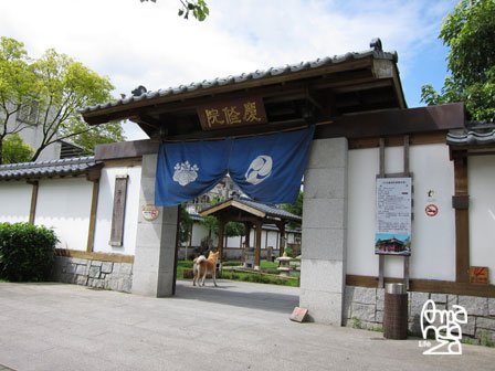 IMG_8700 IMG_8700