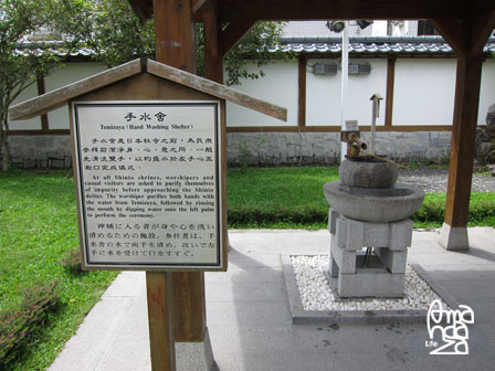IMG_8702 IMG_8702