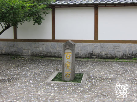 IMG_8720 IMG_8720