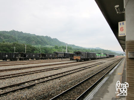 IMG_8846 IMG_8846