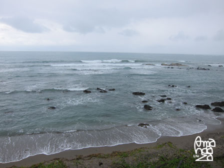 IMG_8869 IMG_8869