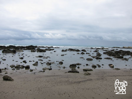 IMG_8917 IMG_8917