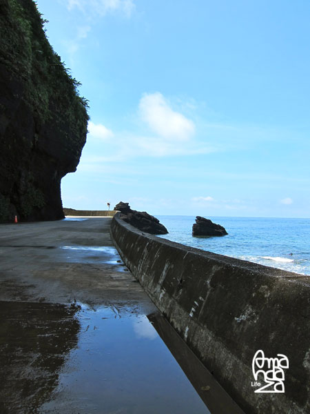 IMG_8981 IMG_8981