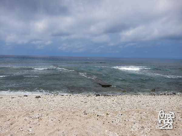 IMG_9006 IMG_9006