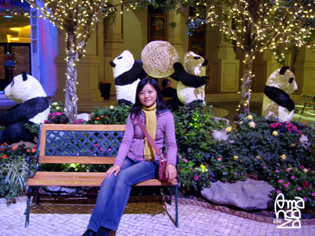 DSC03749.jpg DSC03749.jpg