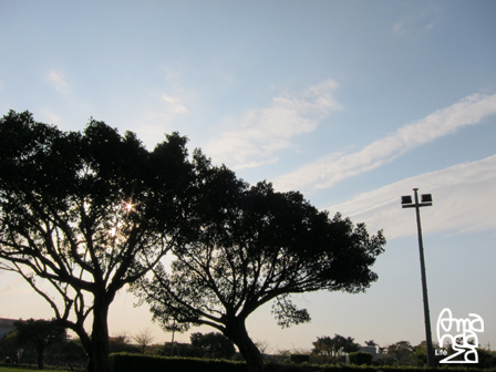 IMG_1528.jpg IMG_1528.jpg