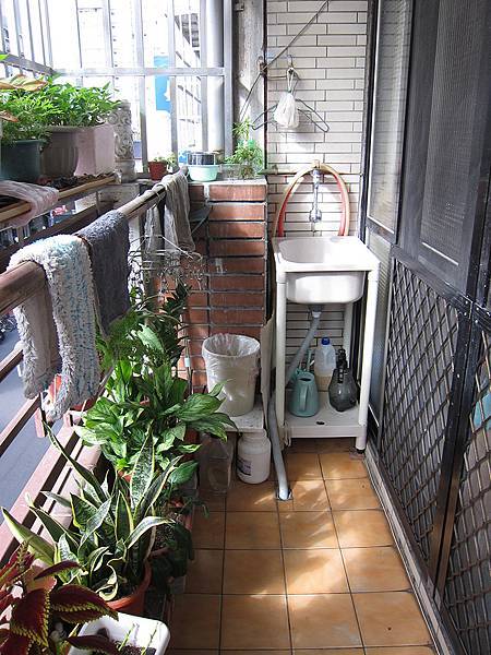 陽台植物園改造計劃-part I