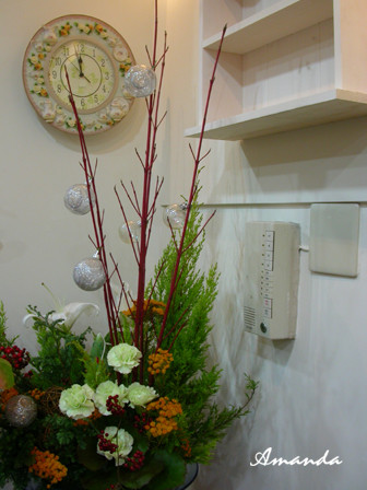 DSCN2206 DSCN2206