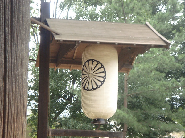 DSC01830.JPG