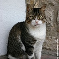 cat-mougins-0622-06.jpg