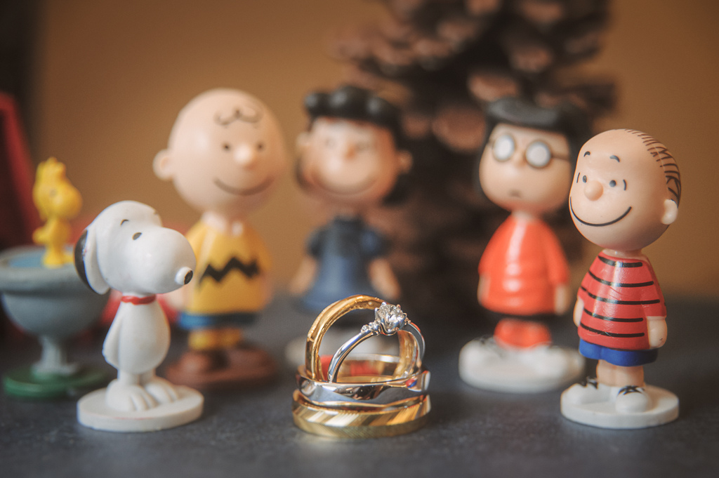 婚禮紀錄 - 家誠卉萱