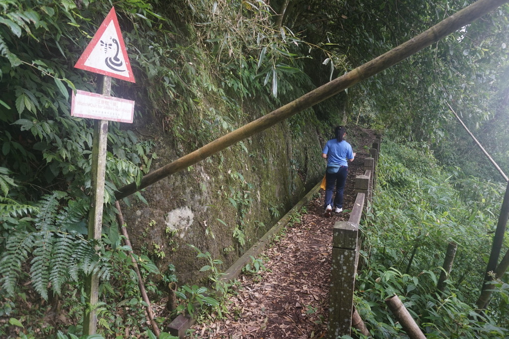 奮瑞古道健行半程、走到陰陽廟