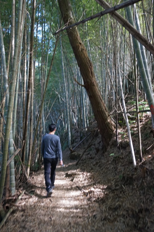 瑞太古道-英雄坡到回頭嶺O型縱走完成