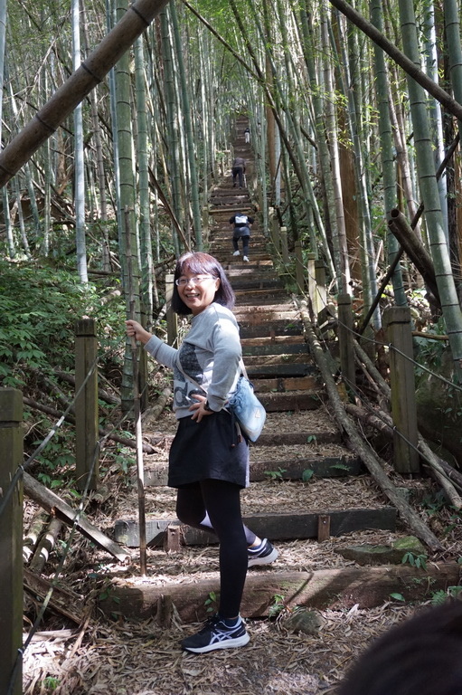 瑞太古道-英雄坡到回頭嶺O型縱走完成