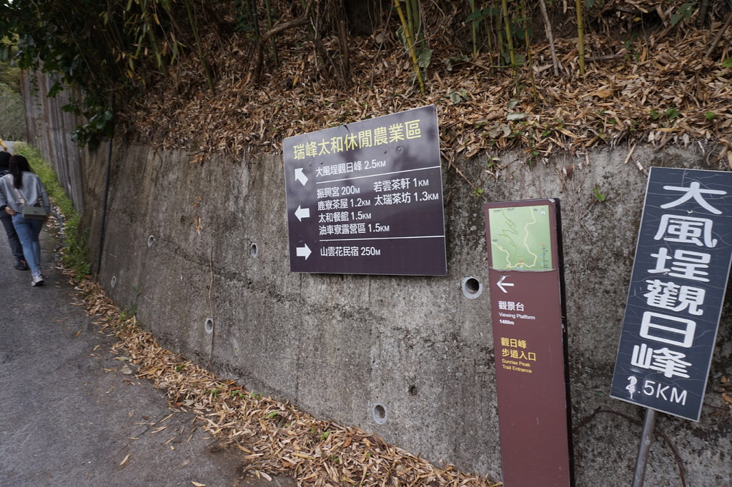 【1420 一世愛你的翠綠茶園環景】大風埕觀日峰