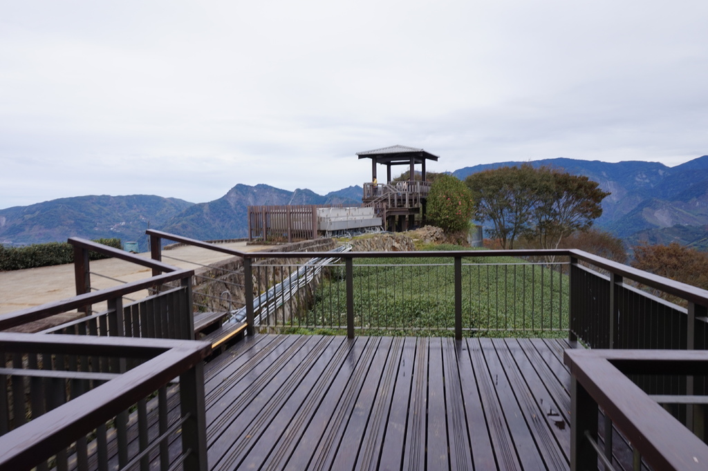 【1420 一世愛你的翠綠茶園環景】大風埕觀日峰