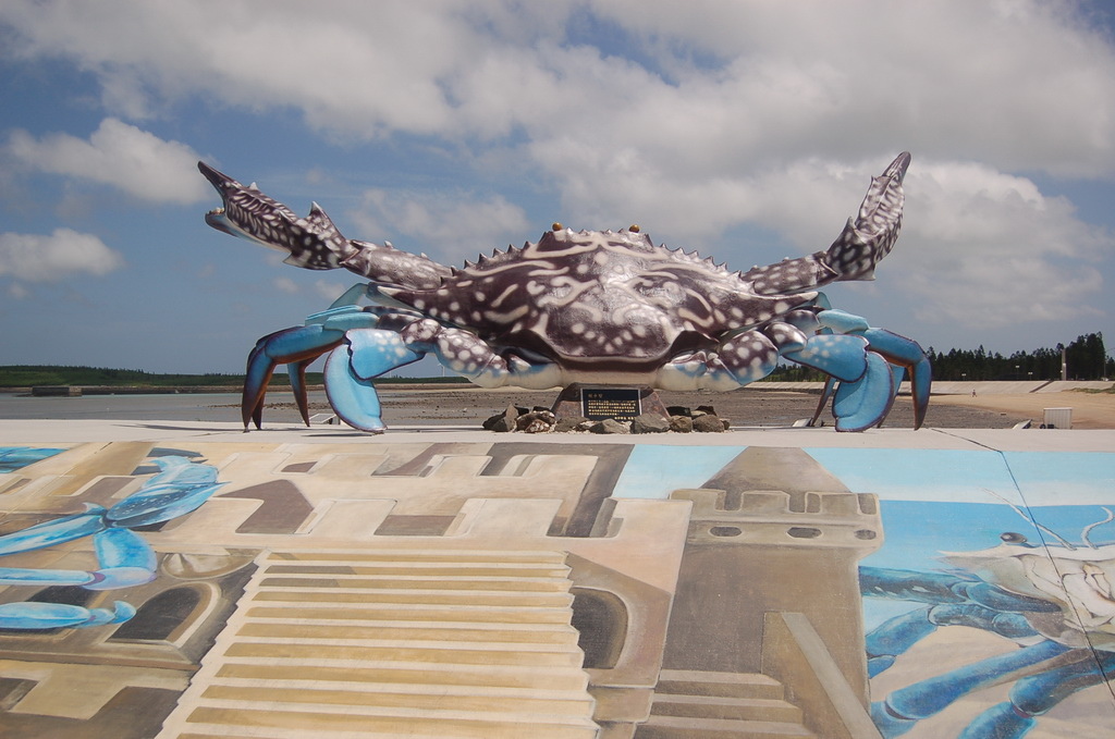 澎湖最重要的地標-->跨海大橋、通樑古榕吃冰