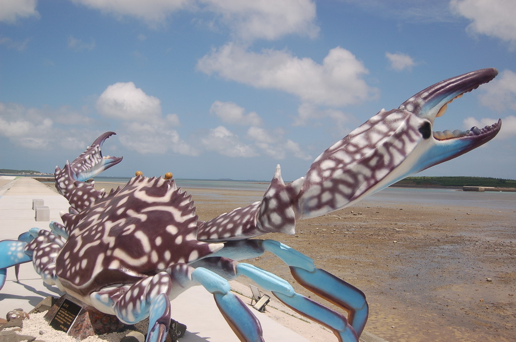澎湖最重要的地標-->跨海大橋、通樑古榕吃冰(縣203 鎮海