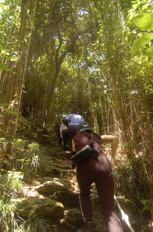 龍泉寺登柴山、尋訪柴山泰國谷與一簾幽夢