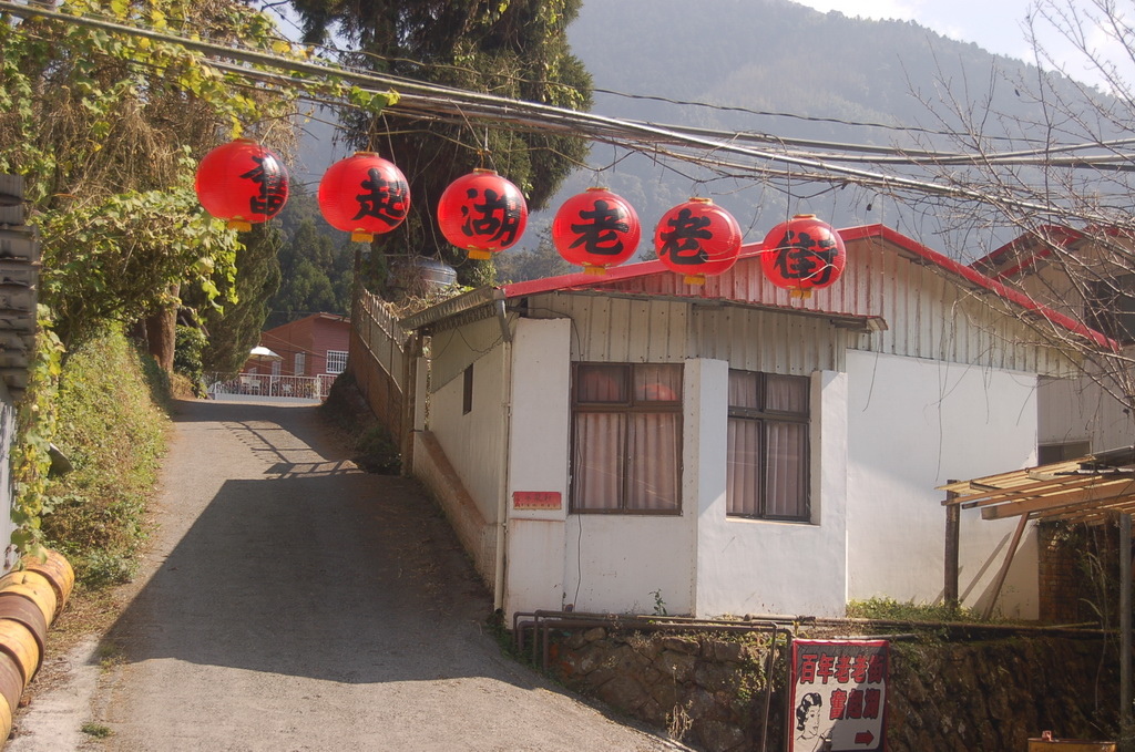 <<樂遊嘉義奮起湖>>2024奮起湖環繞步道行、北側杉林步道