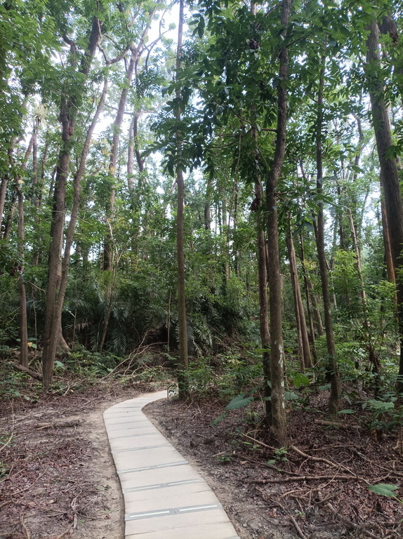 【一行二食、吃完美食爬山去】嘉義蘭潭步道篇：蘭潭後山步道O型