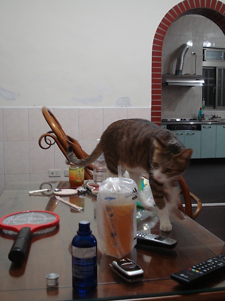 DSC04599.JPG DSC04599.JPG