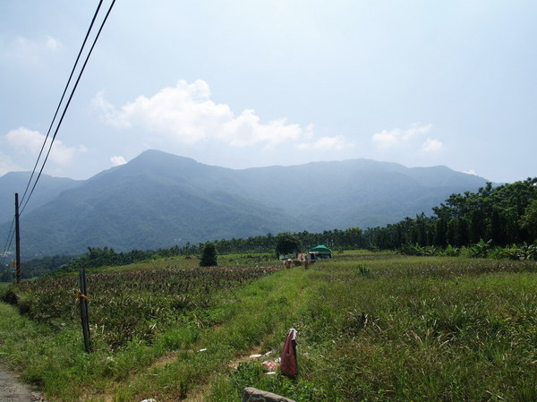 大武山。有天我要征服你。