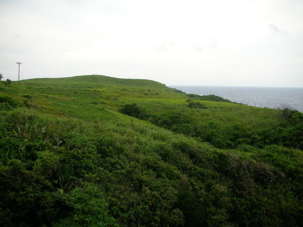 青青草原