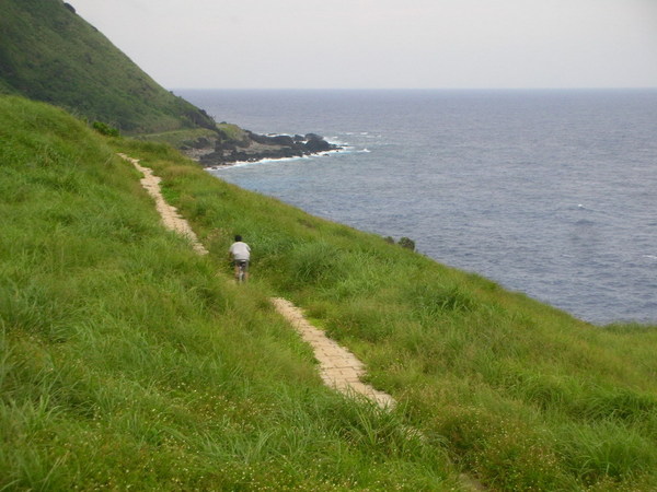 青青草原