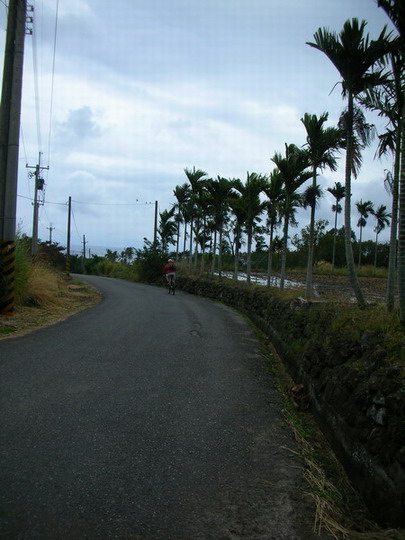 民宿外的鄉間小路