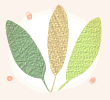 leaf025.gif