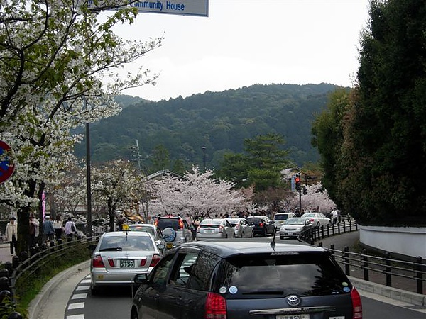 往琵琶湖疏水道的路上