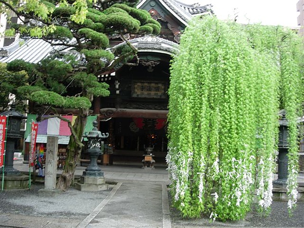京都的最中心－六角堂
