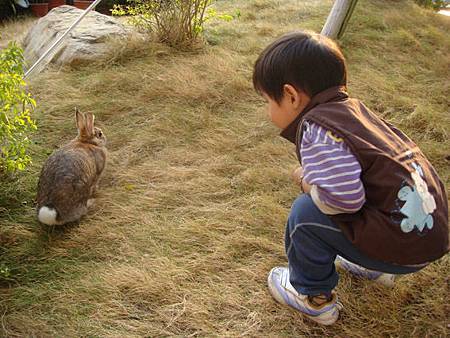 巧遇小兔子-2.JPG