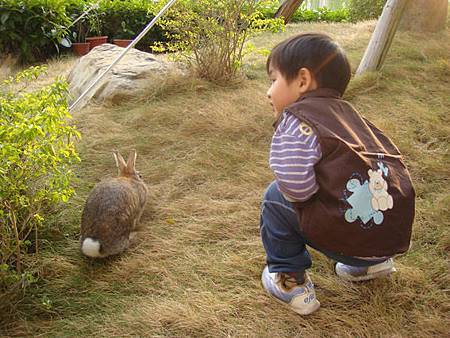 巧遇小兔子-3.JPG