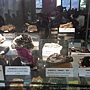 The 5th Taiwan Mineral Show