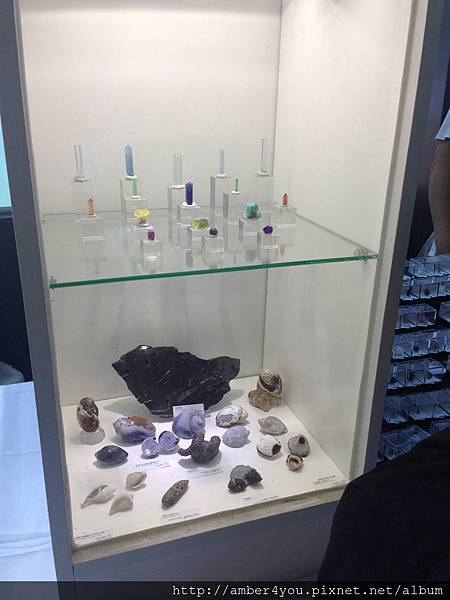 The 5th Taiwan Mineral Show