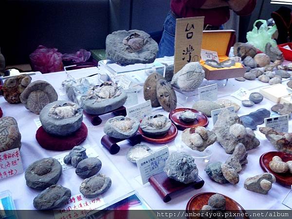 The 5th Taiwan Mineral Show