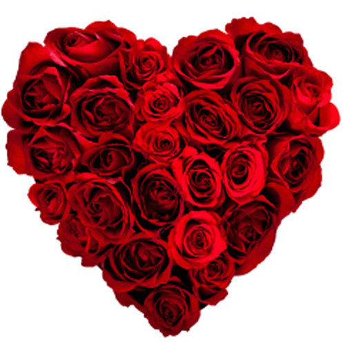 heart-roses1.jpg