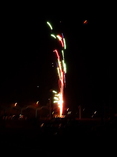 P1000290.JPG