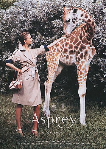 asprey-advertisement-SS2004-1.jpg