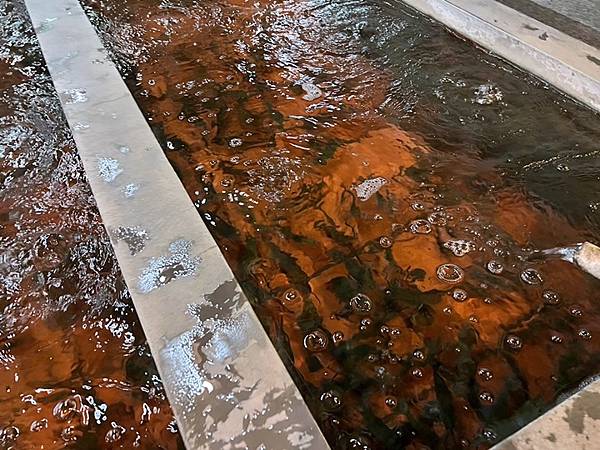 新竹餐廳推薦-黃金海岸活蝦之家 新竹餐廳推薦-黃金海岸活蝦之家