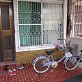 IMG_1985.JPG
