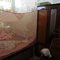 IMG_1971.JPG
