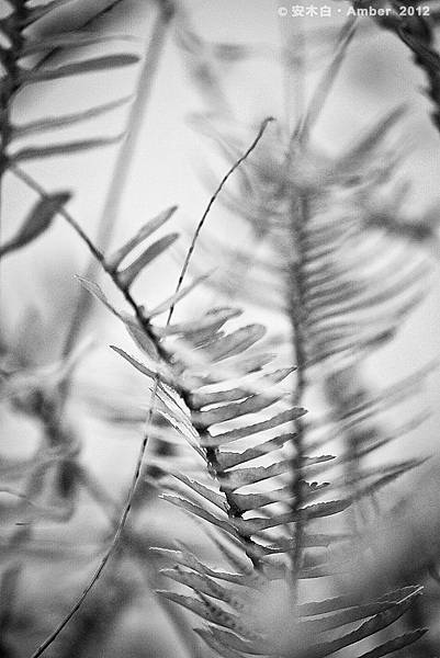 P201200304_C015 P201200304_C015