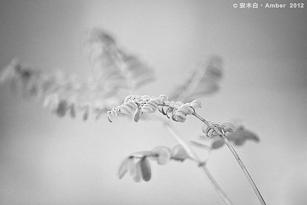 P201200304_C011 P201200304_C011